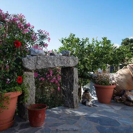 Xydakis Apartman Mykonos Town